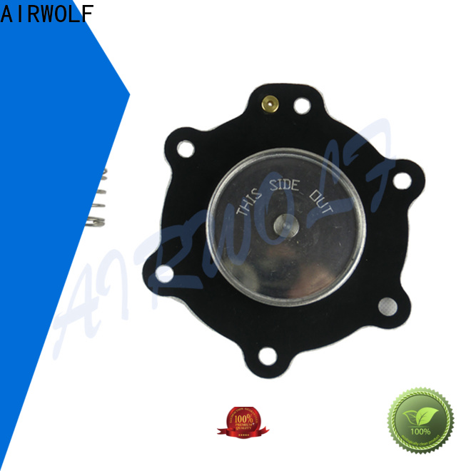 AIRWOLF hot-sale diaphragm valve repair kit viton textile industry