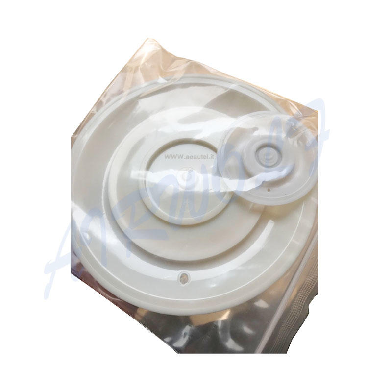 collect santoprene diaphragm valve repair kit valve AIRWOLF Brand company