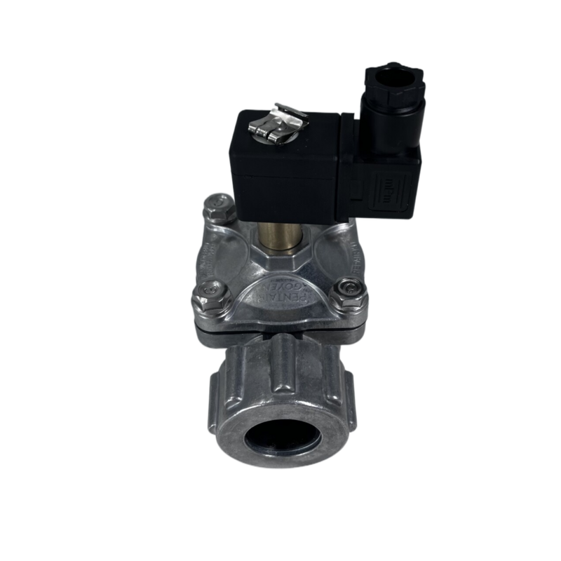 GOYNE Pulse valve CAC20DD4002 RCAC20DD4012 Solenoid valve Dresser Nut Port Valve