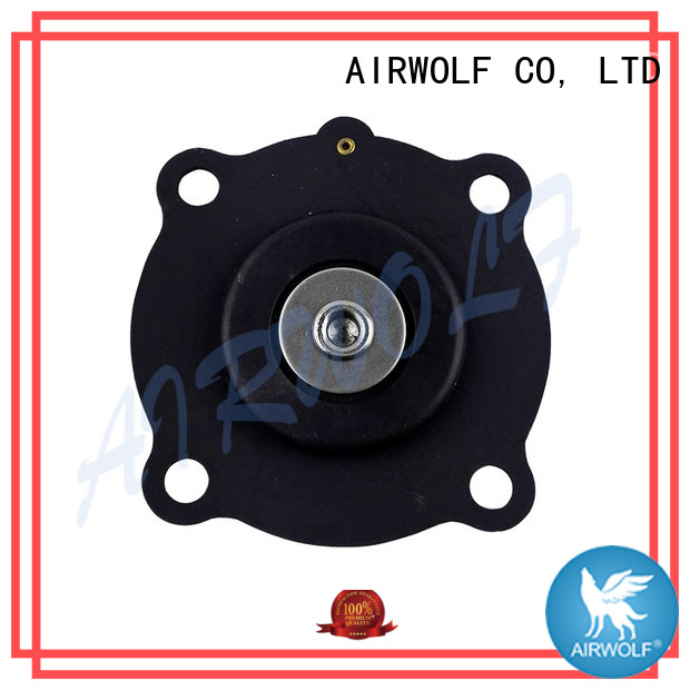 hot-sale solenoid valve repair kit repair construction   AIRWOLF