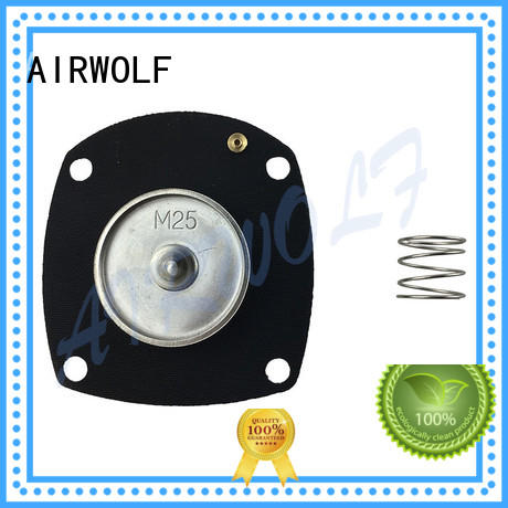 AIRWOLF high quality air valve repair kit repair treatment