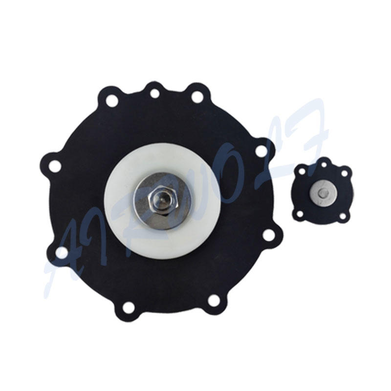 Diaphragm valve repair kit Korea Joil type JISI80 Nitrile 3 inch Black Nylon-1