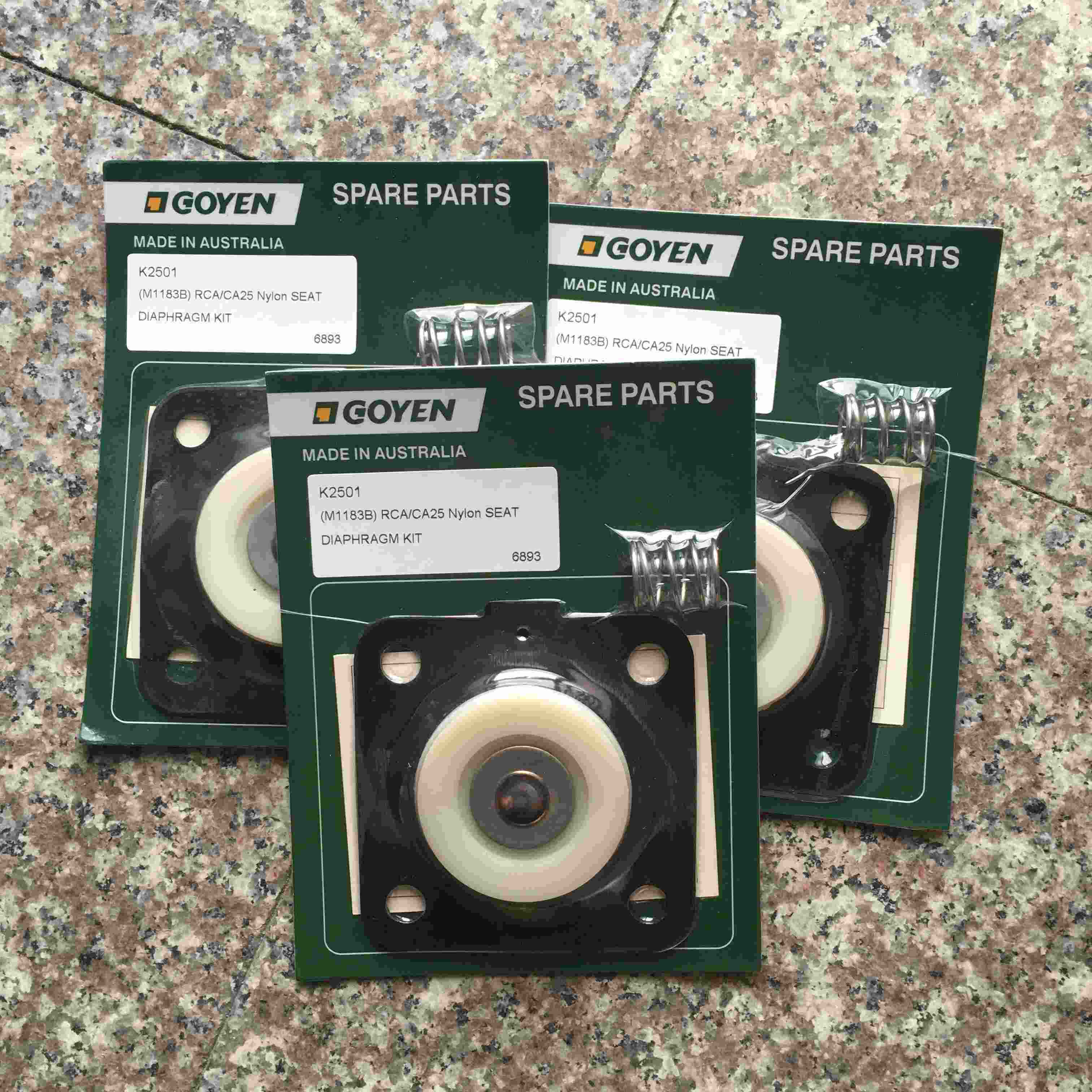 GOYEN K2501 CA25/RCA25T/DD/MM/FS 1 